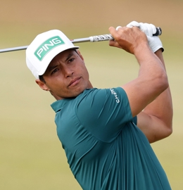 Johannes Veerman Picture