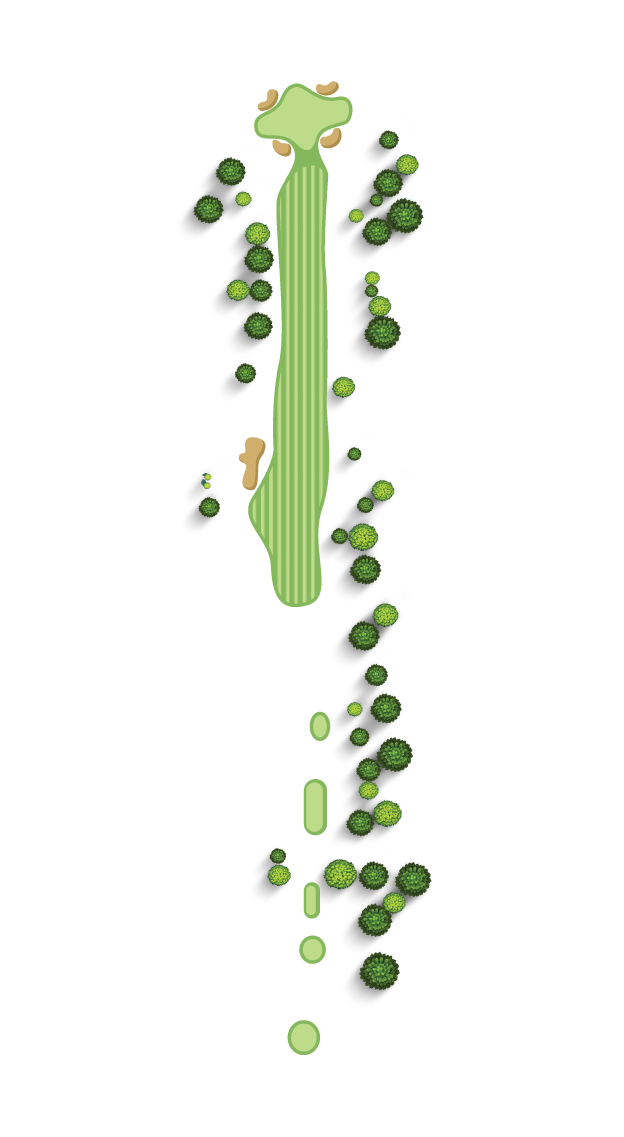 Hole 5 Layout