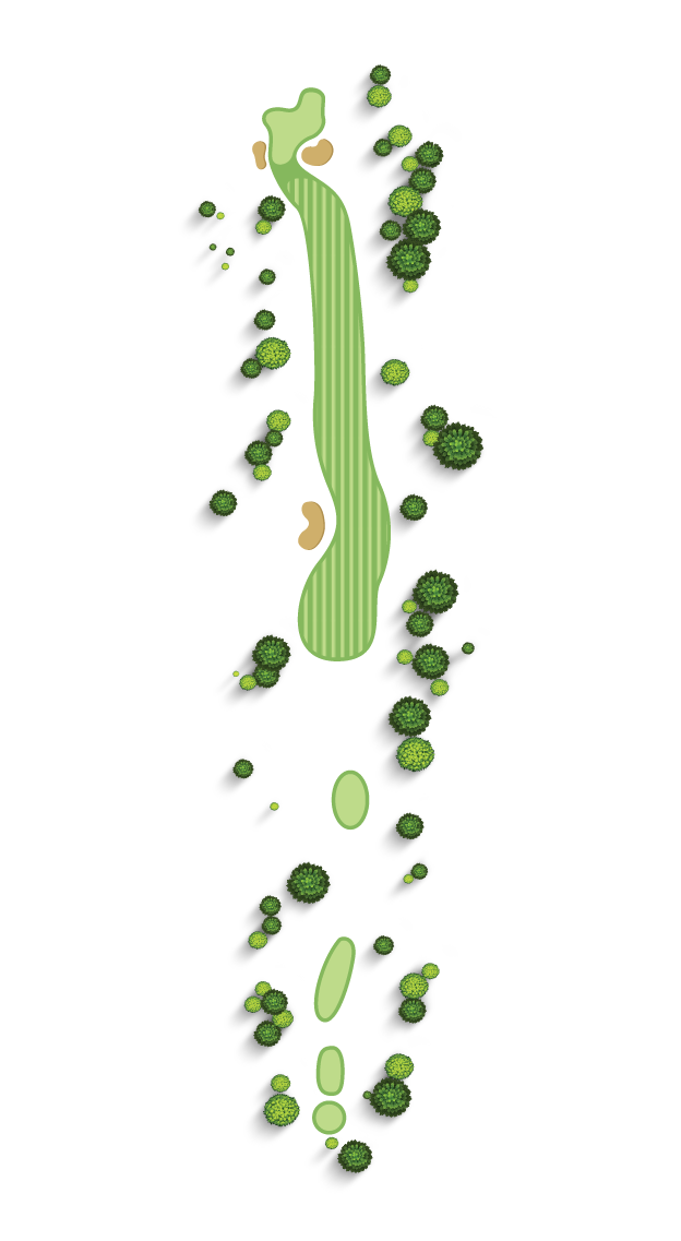 Hole 15 Layout